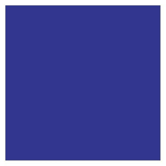 Tape Logic® Inventory Rectangle Labels, 4" x 4", Dark Blue, 500/Roll