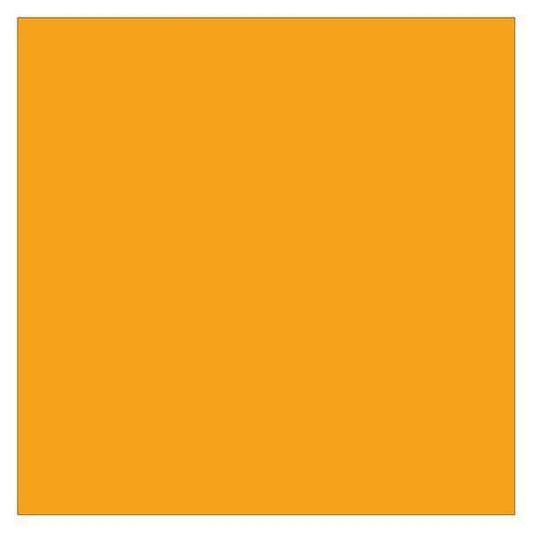 Tape Logic® Inventory Rectangle Labels, 4" x 4", Fluorescent Orange, 500/Roll
