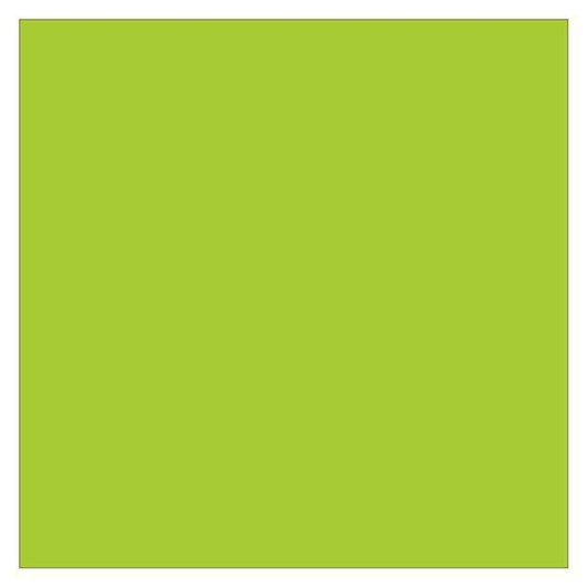 Tape Logic® Inventory Rectangle Labels, 4" x 4", Fluorescent Green, 500/Roll