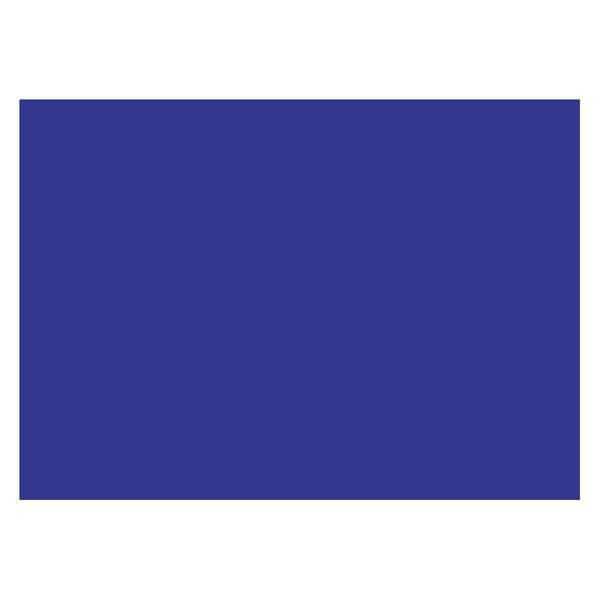 Tape Logic® Inventory Rectangle Labels, 5" x 7", Dark Blue, 500/Roll
