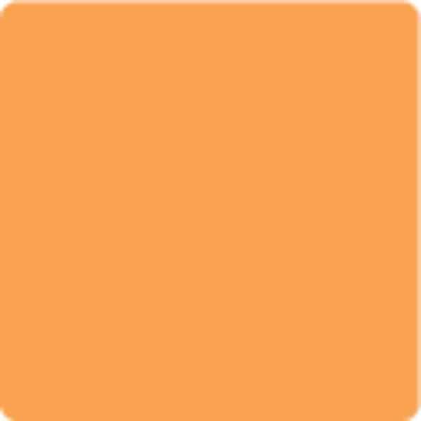Blank Square Label 3", Orange Pk500
