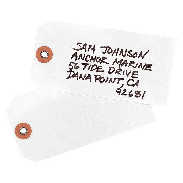 Tyvek Tags, Unstrung, 4-3/4"x2-3/8, PK1000